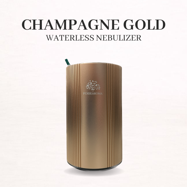 Nebulizer Diffuser