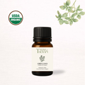 Organic Oregano Essential Oil