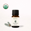 Organic Pine Scotch Essential Oil