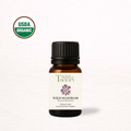 Organic Wild Majoram Essential Oil